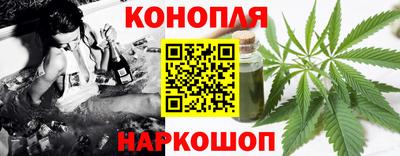 apvp Тулун