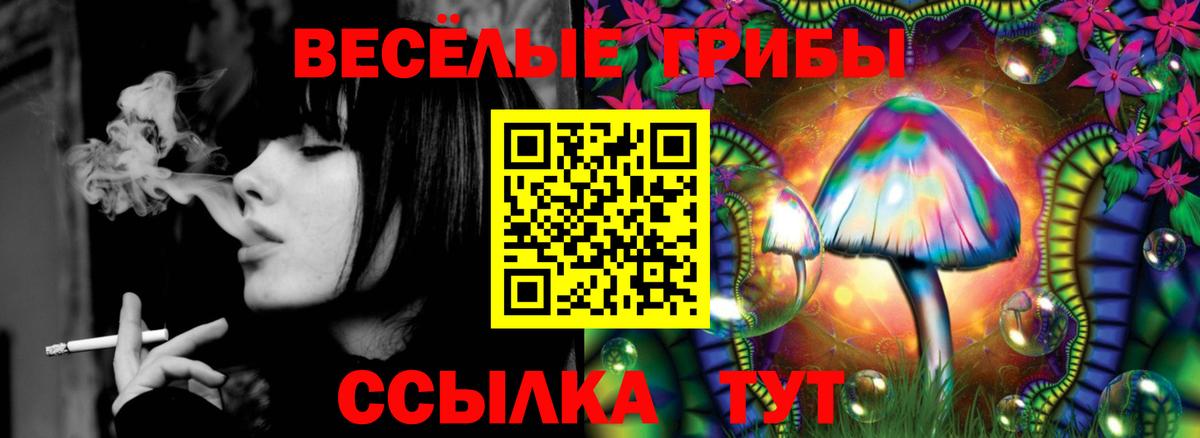 Галлюциногенные грибы Psilocybine cubensis Белово